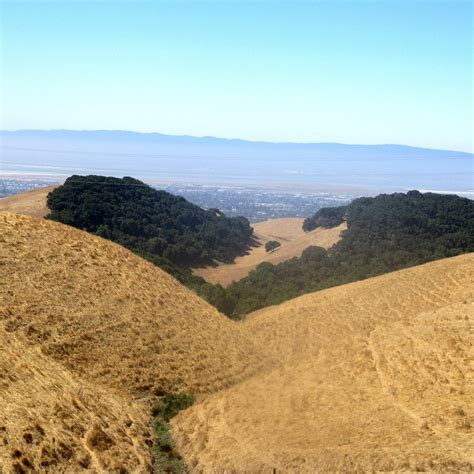 Vargas Plateau Regional Park (Fremont) - Lo que se debe saber antes de ...