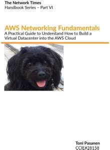 AWS Networking Fundamentals: Buy AWS Networking Fundamentals by Toni ...