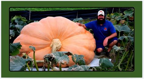 Wisconsin Growers are Setting Records with Giant Pumpkins - Civic Media
