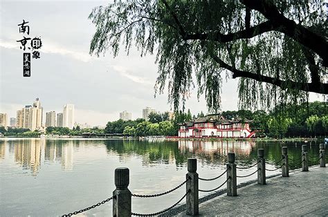 七月南京莫愁湖一偶|摄影|风光摄影|浮生似水 - 原创作品 - 站酷 (ZCOOL)