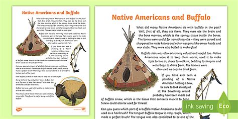 Native American and Buffalo Information Sheet - CfE - Twinkl