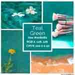 Image result for Quality Color Coding