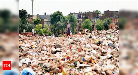 Submit status report on solid waste management by January 31, NGT tells ...