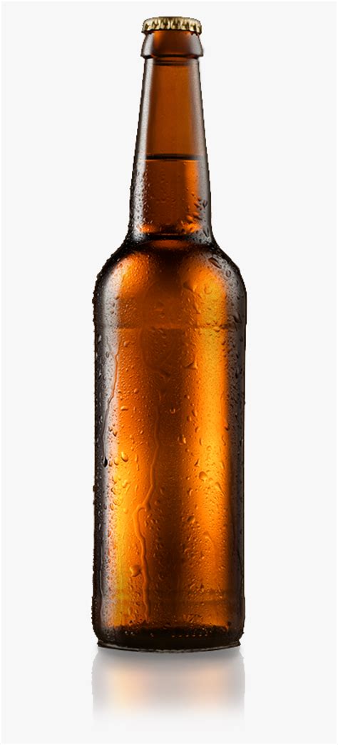 Beer Bottles Png - 54+ Koleksi Gambar