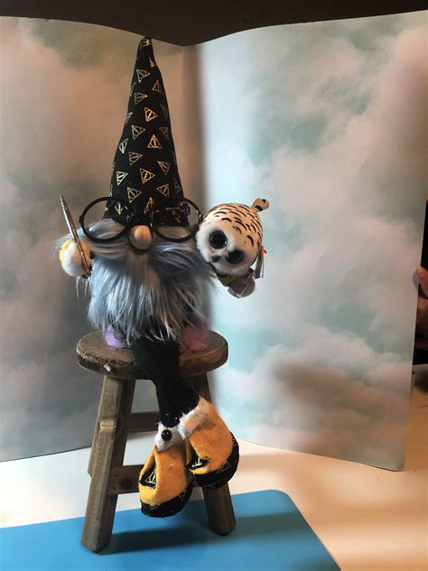 Harry Potter Gnome | Harry potter crafts, Gnomes, Harry potter
