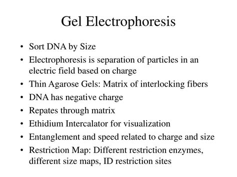 Image result for Expression Cloning Explained