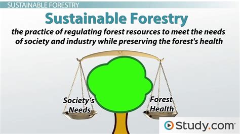 Environmental Sustainability | Definition, Objectives & Examples ...