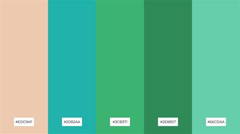 Sand Color 的图像结果