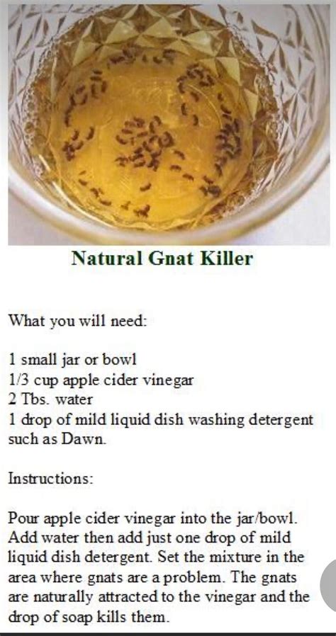 Image result for Getting Splinter Out