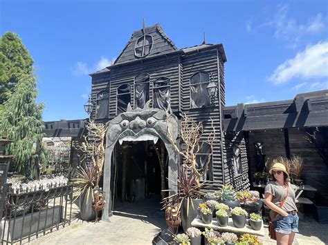 Visiting Tanaka Farms Pumpkin Patch In The Fall