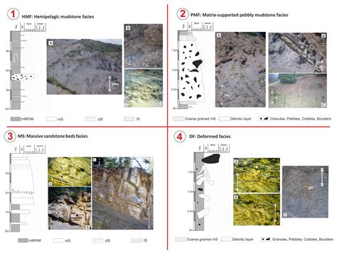 Sedimentary Characteristics and Basin Evolution of a Compartmentalized ...