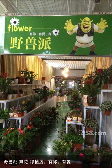 绿植店名称,大气文雅的绿植店名,给自己的绿植取个名字_大山谷图库