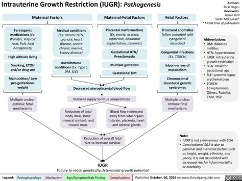 Intrauterine Growth Restriction (IUGR): Pathogenesis | Calgary GuideCalgary Guide