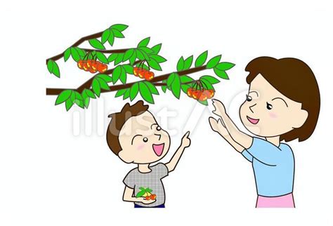 Image result for Acme Course Proposal Example
