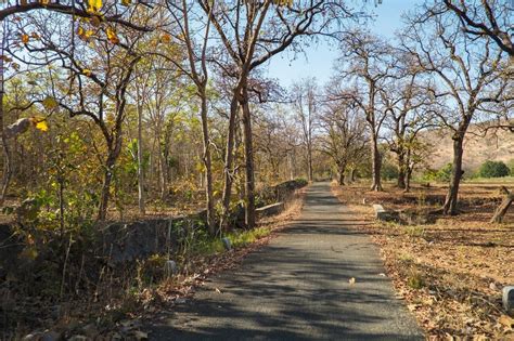 A Guide For Top Places To Visit In Gujarat During Monsoon