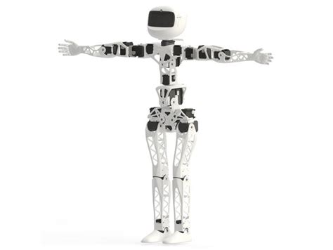Humanoid Robotics Project 的图像结果