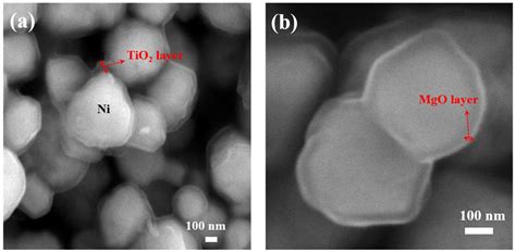 Atomic Layer Deposition for Preparation of Highly Efficient Catalysts ...