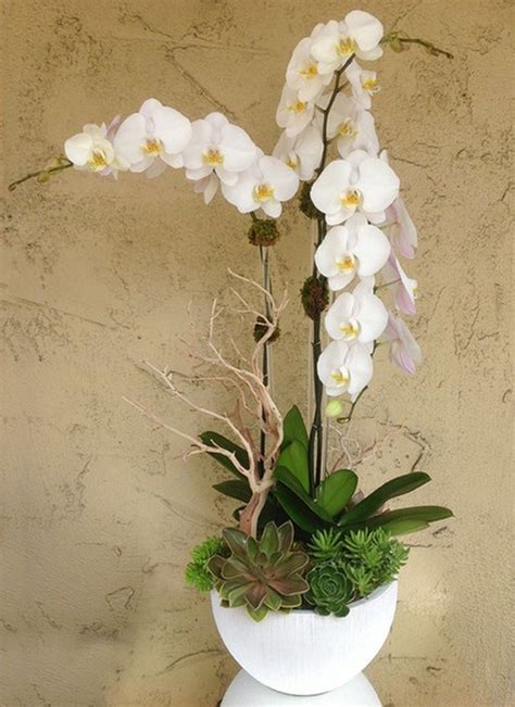 Best Orchid Arrangements With Succulents And Driftwood (40) - Decomagz ...