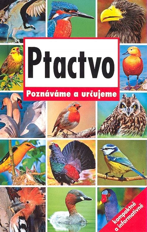 Birds - Recognising and Identifying : Amazon.in: Books