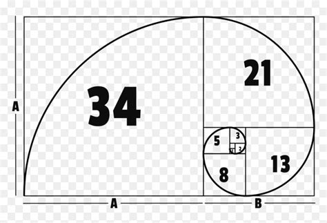 Golden Ratio Guide Png, Transparent Png - vhv