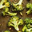 Image result for broccoli