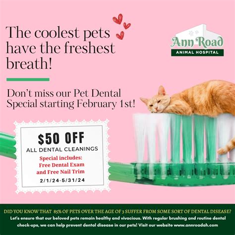 Veterinarian in North Las Vegas, NV | Ann Road Animal Hospital