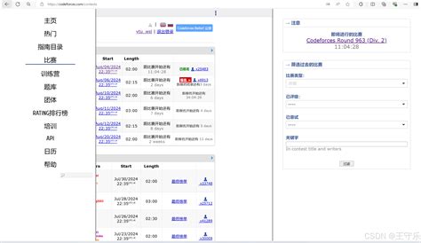 Codeforces Visualizer 的图像结果