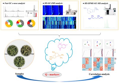 Comparative Analysis of Volatile Compounds in the Flower Buds of Three ...