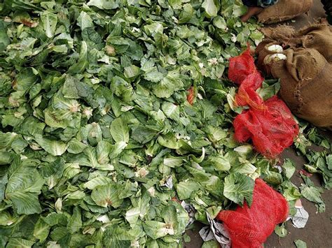 IPCC Report: We need behavioural change, not climate change