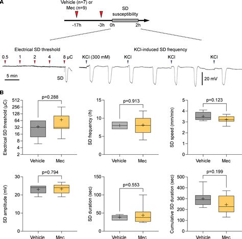 Mechanism of Action and Translational Potential of (S)-Meclizine in ...