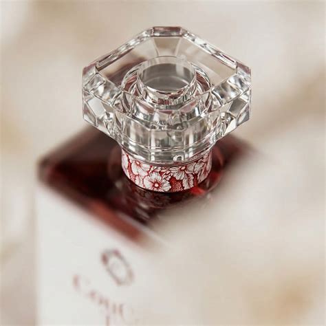 CouCou Toi – Discover Luxury Signature Scents at Accessible Prices ...
