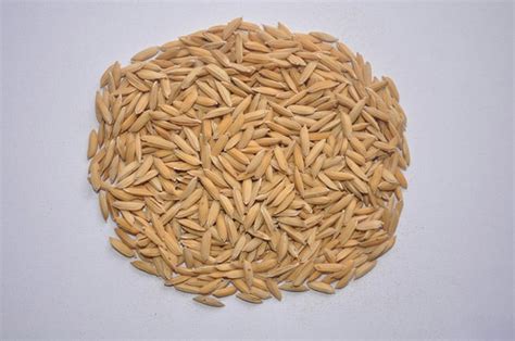 seed centre gallery