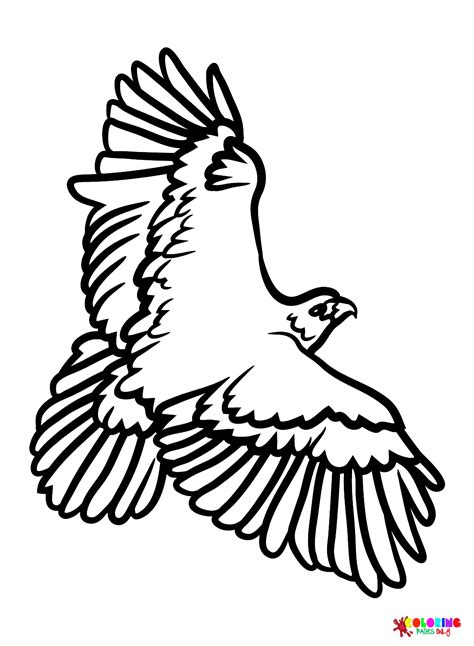 30+ Hawks Coloring Pages - Free Printable PDF & Online Coloring