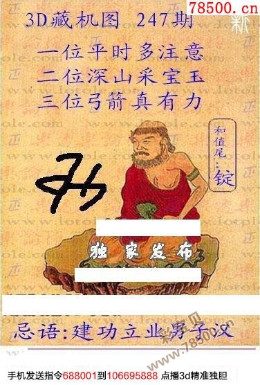 2016年347期3d正版藏机图+新版藏机图_3d字谜_彩宝贝