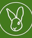 Image result for Rabbit Care Sheet