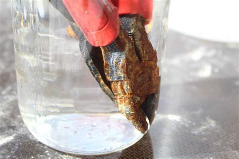 Image result for How to Clean Rusty Tools Left Outside