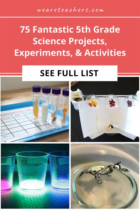 5 Grade Science Projects 的图像结果