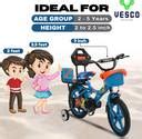 VESCO Kiddo " Cycle for Kids Bicycles age 3 to 5 Year Boys & Girls 14 T ...