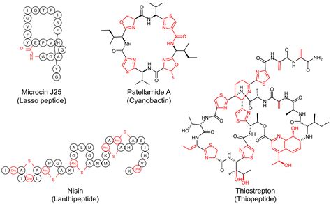 Advancements in the Application of Ribosomally Synthesized and Post ...