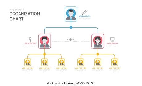 Organizational Structure Flow Chart 的图像结果