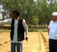 Livelihood generation for marginal and small farmers through integrated ...