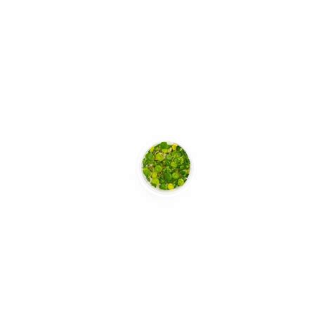 Hydrocotyle verticillata – Best4Pets