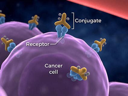Targeted Photoimmunotherapy for Cancer - NCI