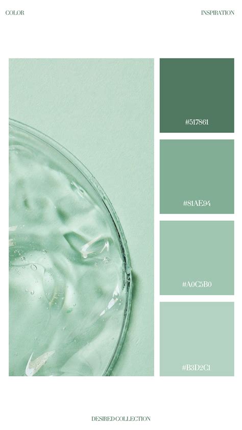 Soft Evergreen | Mint color palettes, Green palette, Seafoam green color