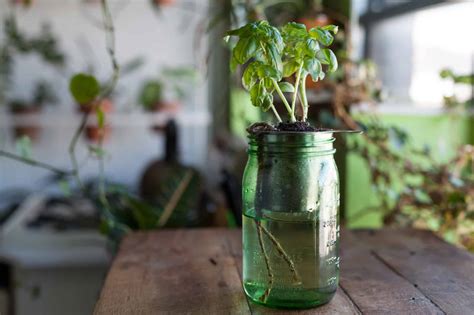 14 Self Watering Planters DIY For The Ones Without A Green Thumb