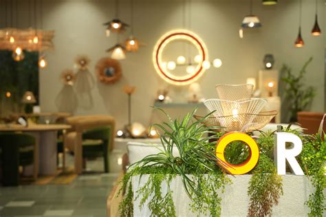Furniture, Lighting & Decor Store In Raipur