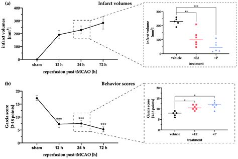 Gonadal Hormones E2 and P Mitigate Cerebral Ischemia-Induced ...