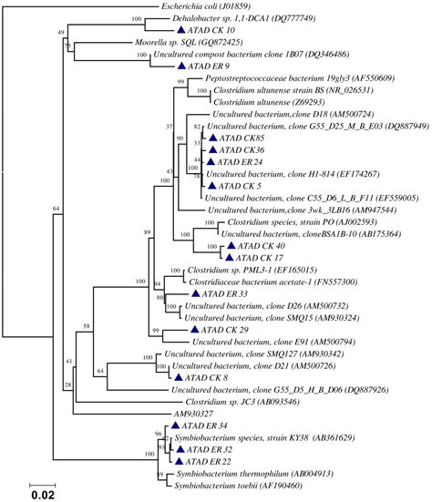 Autothermal Thermophilic Aerobic Digestion (ATAD) for Heat, Gas, and ...