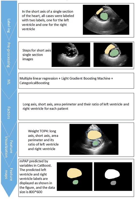 Deep Learning Workflow 的图像结果