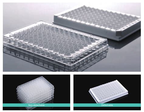 Image result for Molecular Biology Lab Kit